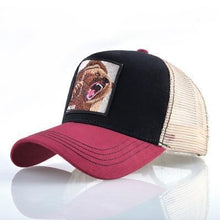 Load image into Gallery viewer, Cock Embroidery Baseball Cap Eat Chicken Bone Casquette